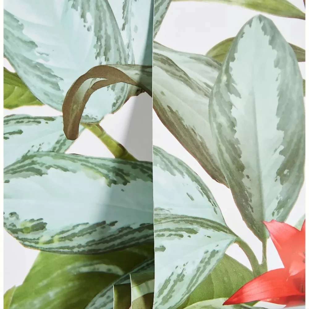 Anthropologie Rainforest Wallpaper. New in original wrapping.